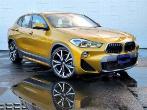 2017 BMW X2 sdrive20i