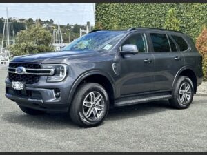 2017 Grey Ford Everest Trend