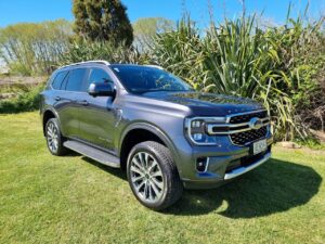 2017 Grey Ford Everest PLATINUM