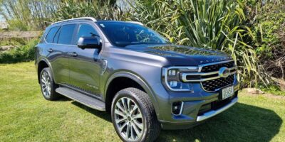 2017 Grey Ford Everest PLATINUM