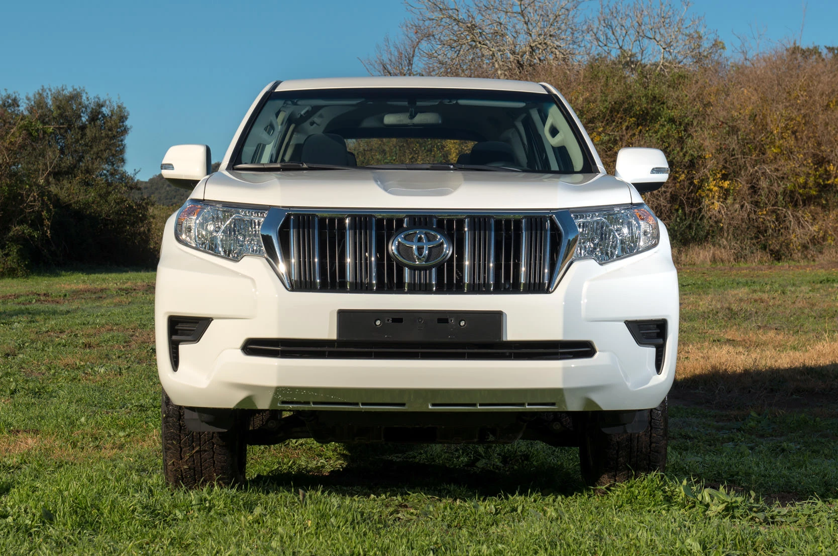 An image of the Prado chrome front grille