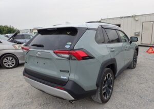 2019 TOYOTA RAV4 ADVENTURE