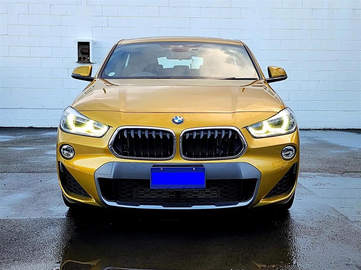 2017 BMW X2 sdrive20i