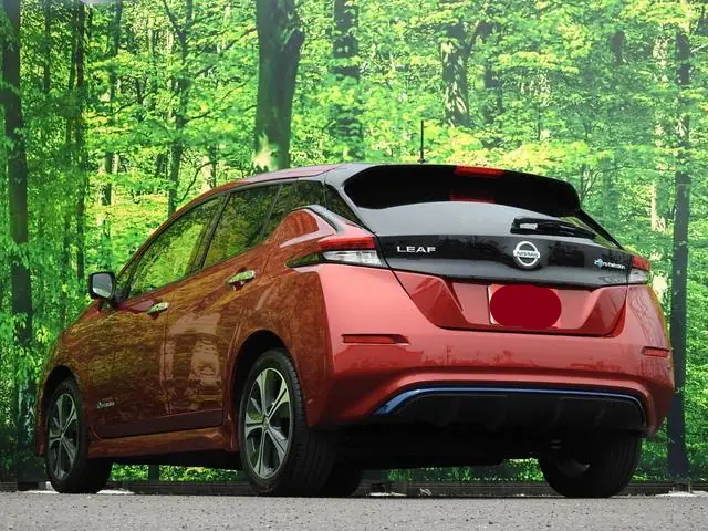 2019 Nissan Leaf e+ X for Sale in Kenya by Best Cars for Sale in Kenya Ltd.