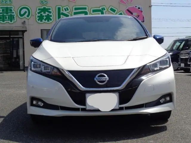 2019 Nissan Leaf G for Sale in Kenya by Best Cars for Sale in Kenya Ltd.