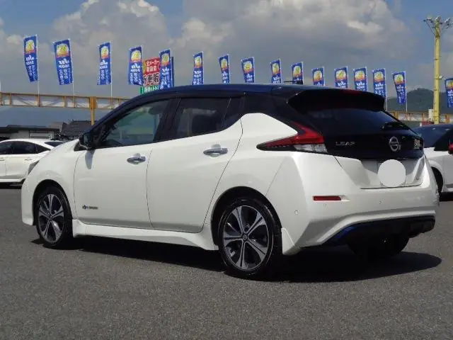 2019 Nissan Leaf G for Sale in Kenya by Best Cars for Sale in Kenya Ltd.