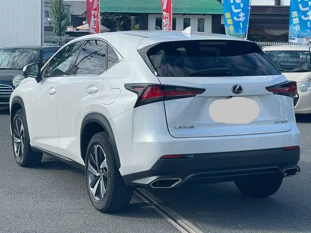 2019 Lexus NX 300h for Sale in Kenya by Best Cars for Sale in Kenya Ltd.
