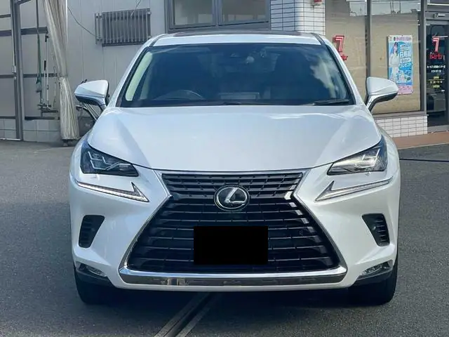 2019 Lexus NX 300h for Sale in Kenya by Best Cars for Sale in Kenya Ltd.