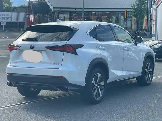 2019 Lexus NX 300h for Sale in Kenya by Best Cars for Sale in Kenya Ltd.