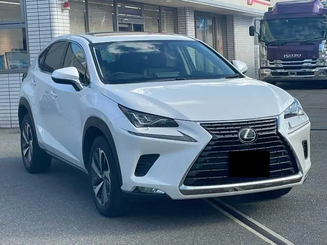 2019 Lexus NX 300h for Sale in Kenya by Best Cars for Sale in Kenya Ltd.