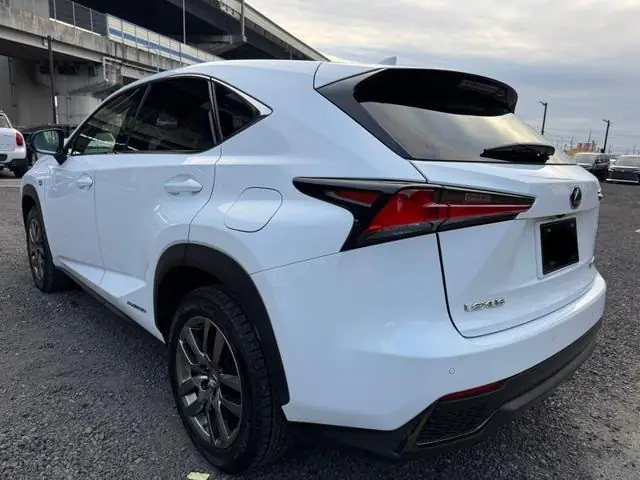 2018 Lexus NX300H for Sale in Kenya by Best Cars for Sale in Kenya Ltd.