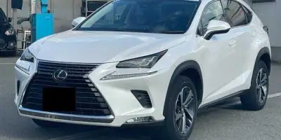 2019 LEXUS NX NX300