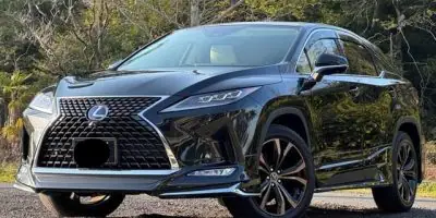 2020 LEXUS RX RX450H