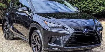 2020 Lexus NX 300h for Sale