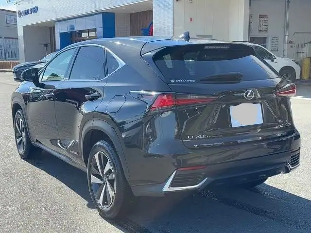 2018 Lexus NX300h for Sale in Kenya by Best Cars for Sale in Kenya Ltd.