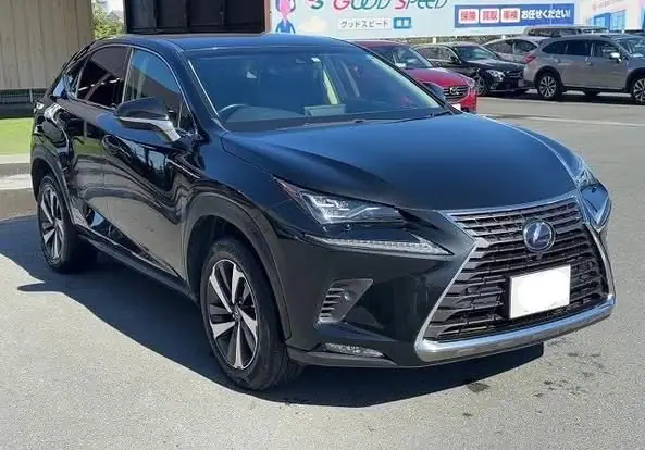2018 Lexus NX300h for Sale in Kenya by Best Cars for Sale in Kenya Ltd.