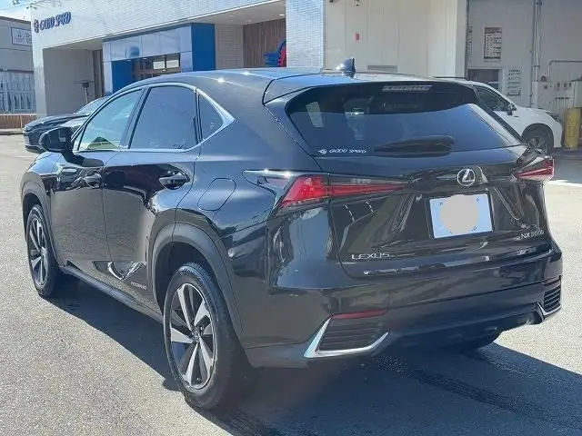 2018 Lexus NX300H (L) for Sale in Kenya by Best Cars for Sale in Kenya Ltd.
