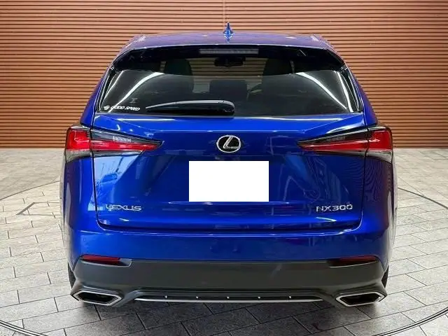 2019 Lexus NX300H (F Sport) for Sale in Kenya by Best Cars for Sale in Kenya Ltd.