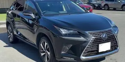 2018 Lexus NX300H for Sale in Kenya