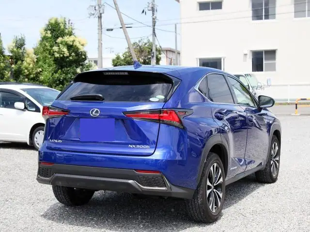 2020 Lexus NX300H (F Sport) for Sale in Kenya by Best Cars for Sale in Kenya Ltd.