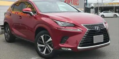 2018 Lexus NX300H (L)