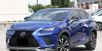 2020 Lexus NX300H for Sale in Kenya