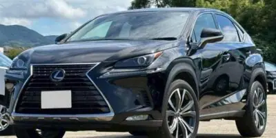 2020 LEXUS NX NX300H