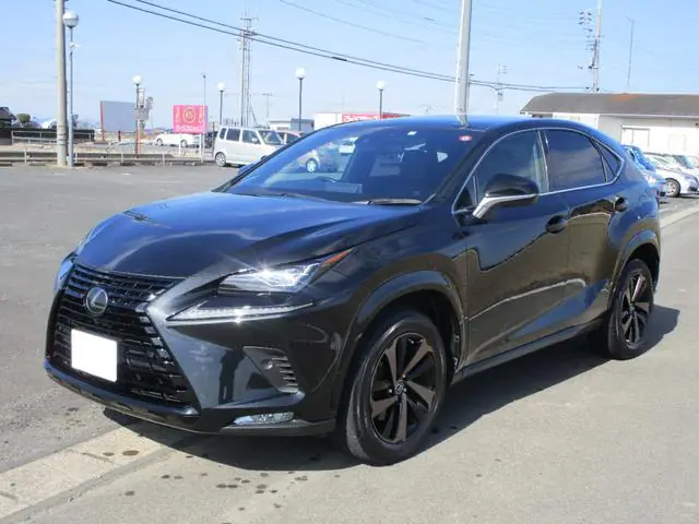 2019 Lexus NX NX300 for Sale in Kenya by Best Cars for Sale in Kenya Ltd