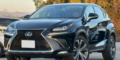 2020 Lexus NX300h I